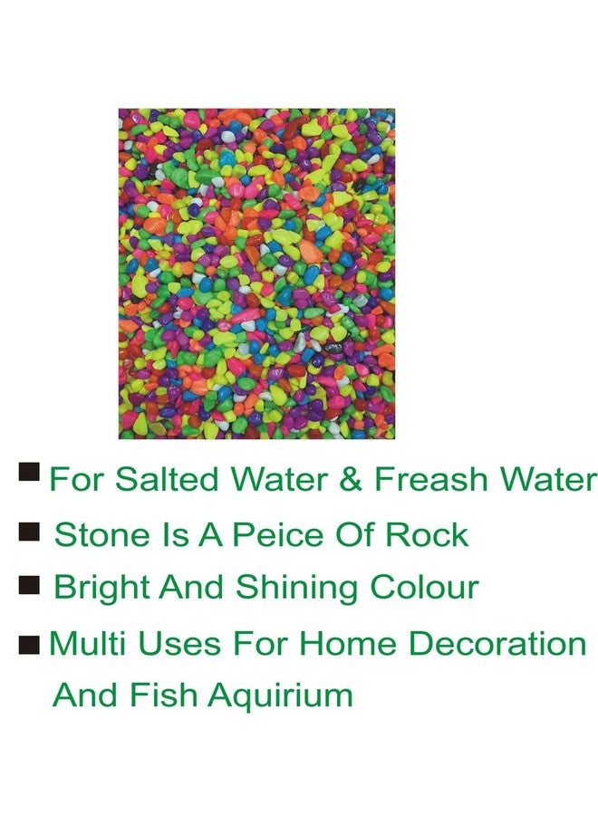 Somil Multicolor Pebbles/Stones for Garden, Plants, Lawns, Aquariums, Fish Pots, Home Decor, Vases, Furniture Filler. Size: 10-30mm, Shiny Multicolor -A189 - Image 2